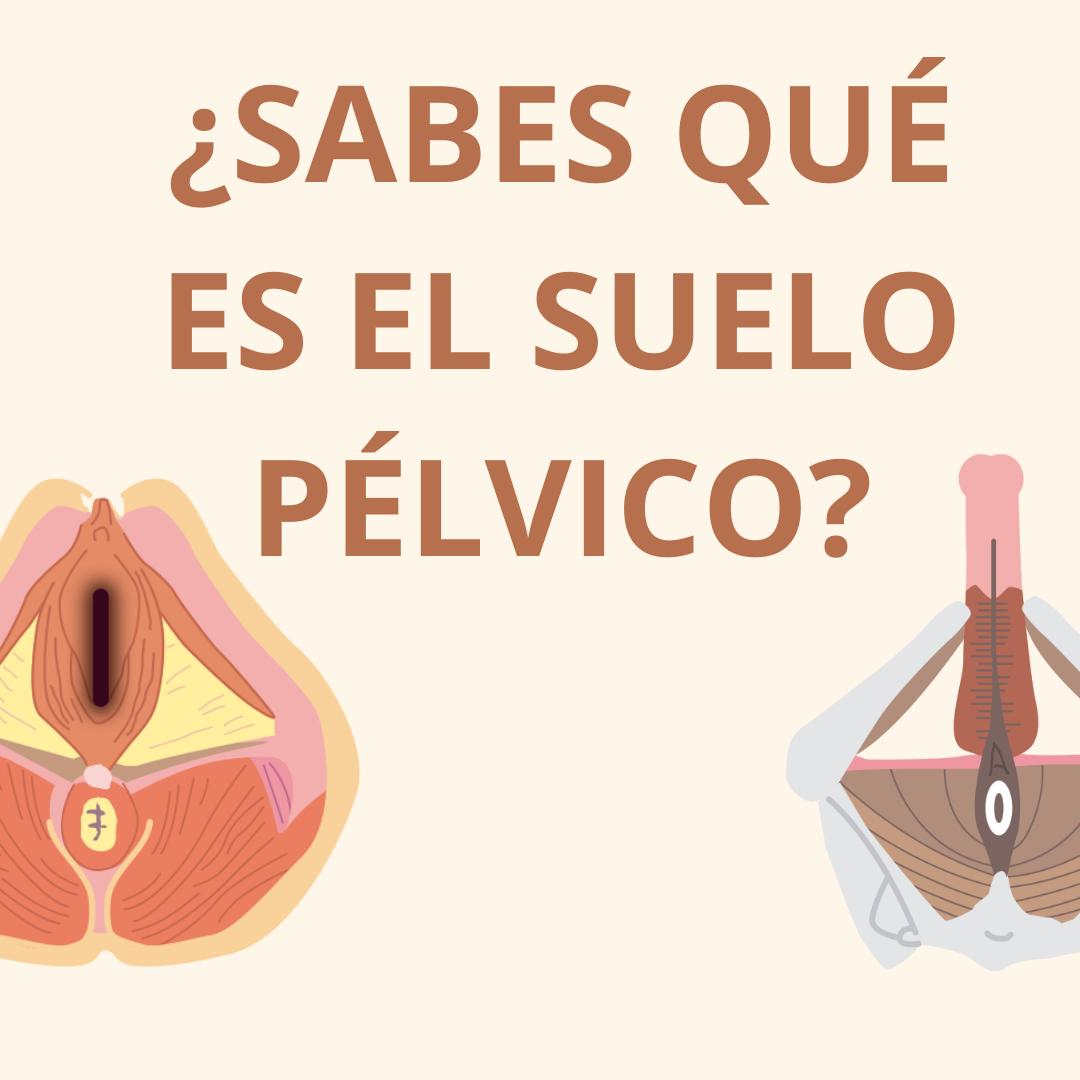 suelo pélvico